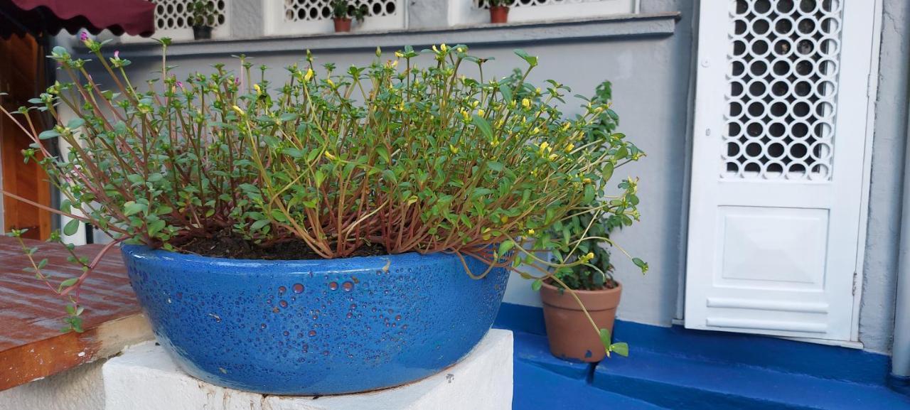 Hostel Leblon ريو دي جانيرو المظهر الخارجي الصورة